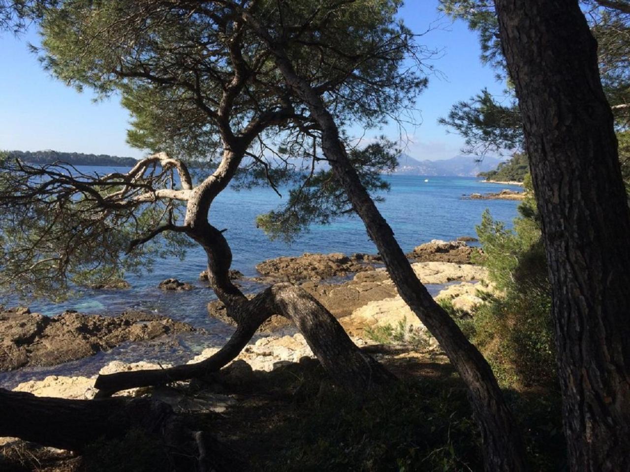 Cannes design vue mer Eksteriør billede
