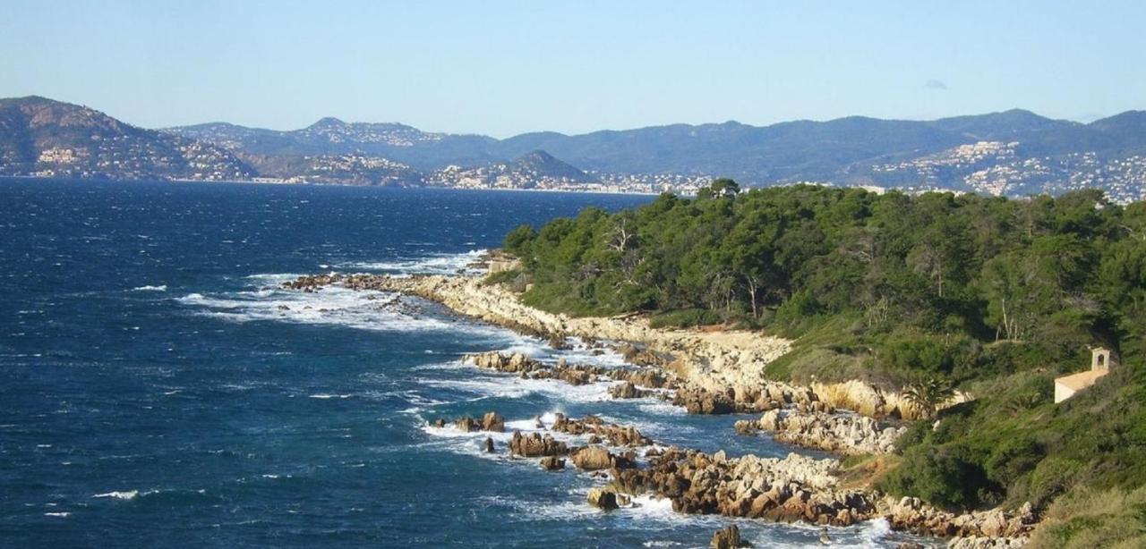 Cannes design vue mer Eksteriør billede